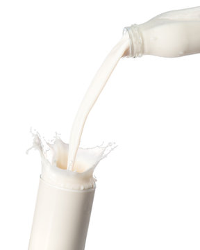 Pouring milk from bottle into glass with splashing.,  Isolated white background.
