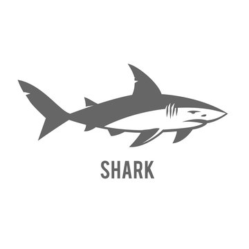 Monochrome illustration of stylized shark isolated on white. 
