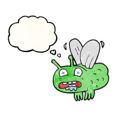 thought bubble textured cartoon fly