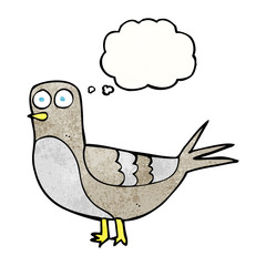 thought bubble textured cartoon pigeon