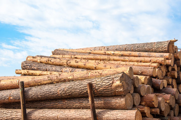 Lumber under the open sky