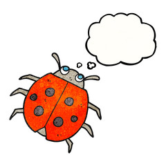 thought bubble textured cartoon ladybug