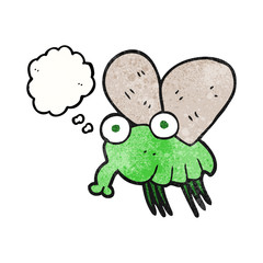 thought bubble textured cartoon fly