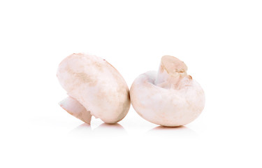 Champignon mushroom isolated on white background