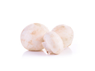 Champignon mushroom isolated on white background