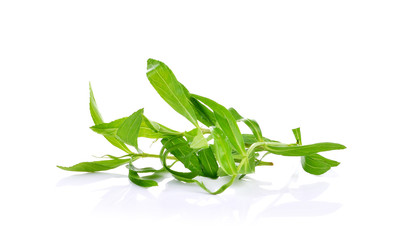 fresh tarragon herb isolated on a white background