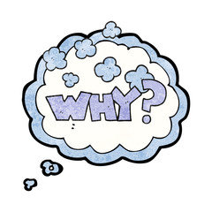 thought bubble textured cartoon shout WHY?