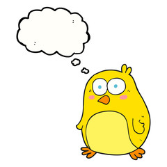 thought bubble cartoon bird