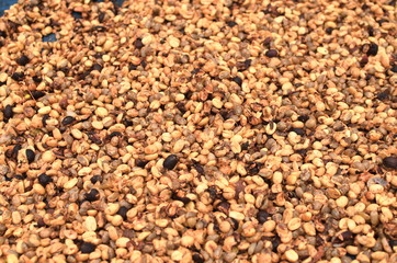 Coffee bean