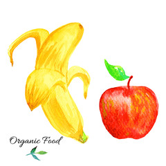 Banana, apple hand drawn painting watercolor illustration on white background