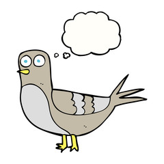 thought bubble cartoon pigeon