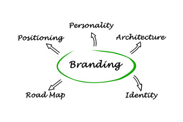 Diagram of branding