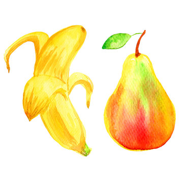 Pear, banana hand drawn painting watercolor illustration on white background