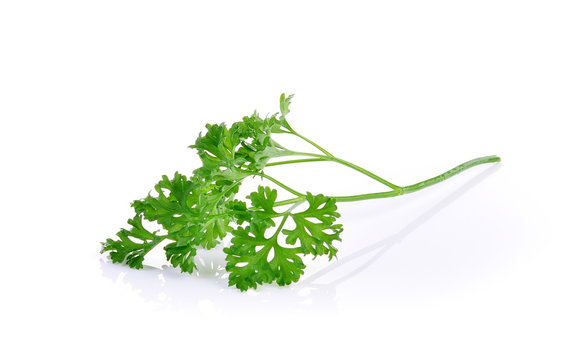 Parsley On A White Background