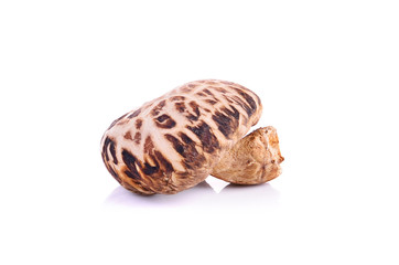Dried mushrooms on white background