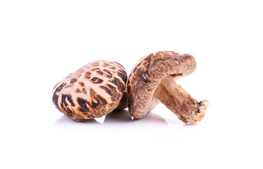 Dried mushrooms on white background