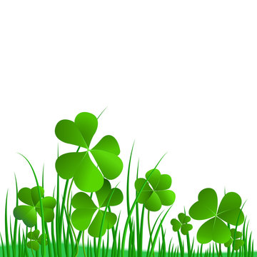 Three clover leaf on white background, vector illustration for St. Patrick's day.