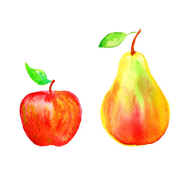 Pear, banana hand drawn painting watercolor illustration on white background