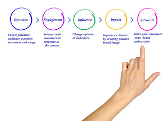 Diagram of Marketing