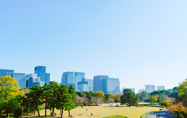 Obraz premium Tokyo, Japan cityscape ( Filtered image processed vintage effect