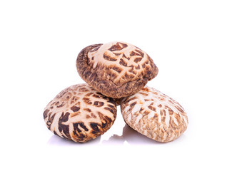 Dried mushrooms on white background