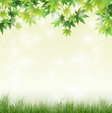 Spring meadow with green leaves background 