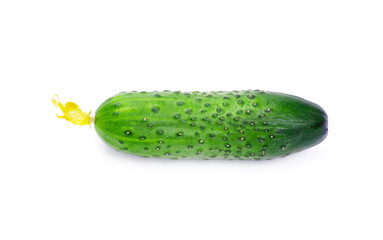 fresh cucumbers isolated on white