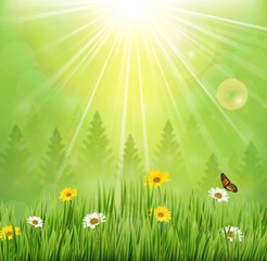 Fototapeta premium Spring background with flowers and butterflies in meadow and pine trees