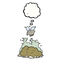 thought bubble cartoon fly and manure