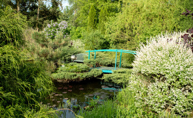 small green footbridge over a pond