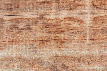 Texture of wood background closeup