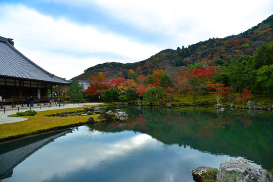 Tenryuji temple 