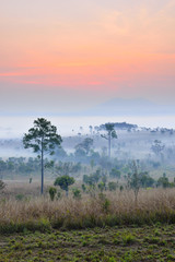 Fototapeta premium Natural landscape sunrise in winter.
