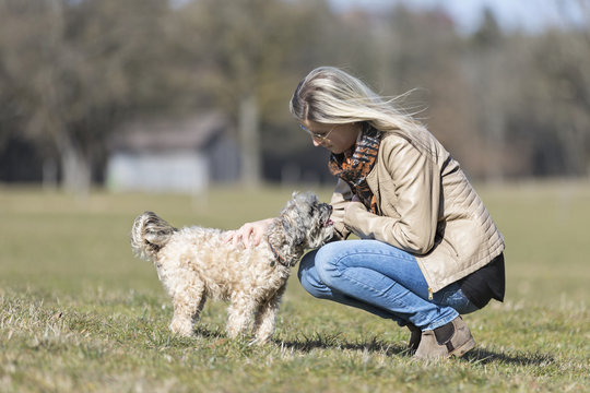 Streicheleinheiten f&uuml;r den Hund