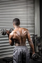 Obraz premium Shirtless man lifting dumbbells