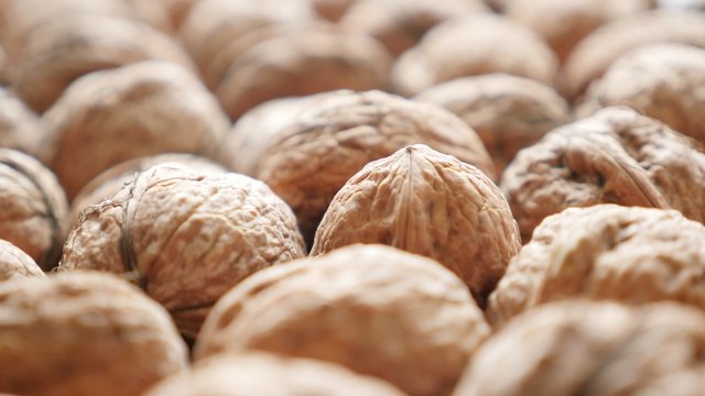 Arranged walnuts in the hard shell natural organic food 4K 2160p 30fps UltraHD footage - Juglans regia Juglandaceae family fruit healthy autumn food 4K 3840X2160 UHD video 