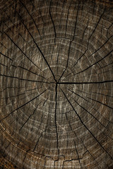 Dark  scratched wood texture with cracks.vertical Wood texture