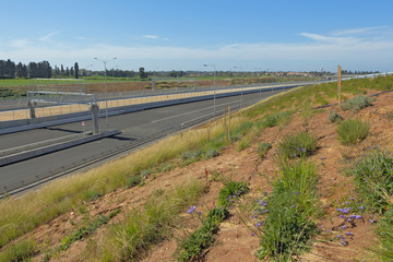 Paving a new road.