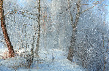 frosty wonderful day