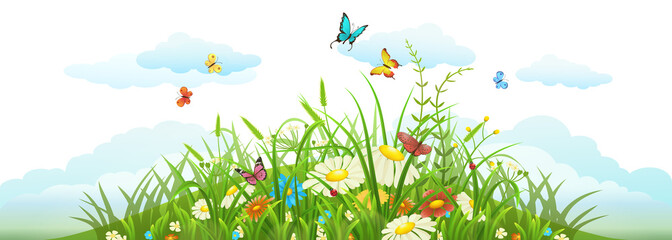 Summer and spring meadow banner with grass, flowers, butterflies and clouds