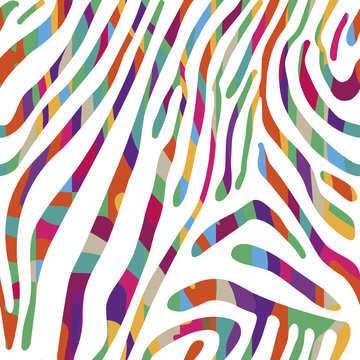 Background with colorful Zebra skin pattern
