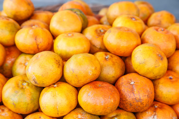 fresh mandarin group