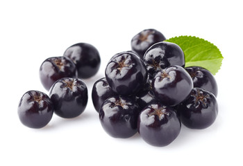Chokeberry. Berries for health