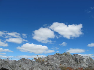 Bonsai Mountain Range