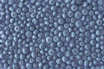 background blueberries blueberry texture berry