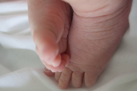Newborn baby foot