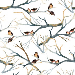 Watercolor birds on the tree branches