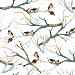 Watercolor birds on the tree branches