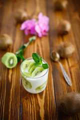 Fototapeta na wymiar Greek yogurt with kiwi