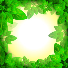 Fototapeta premium leaves sunny frame
